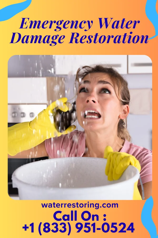 Emergency Water Damage Restoration in Eutawville, SC