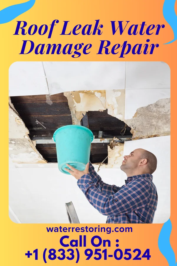 Roof Leak Water Damage Repair in Eutawville, SC