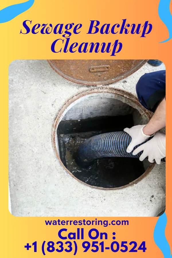 Sewage Backup Cleanup in Eutawville, SC